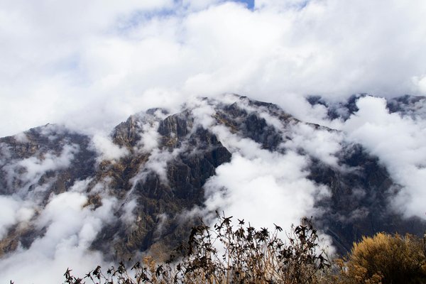 Taxi à Bordeaux : la tarification et la disponibilité des véhicules